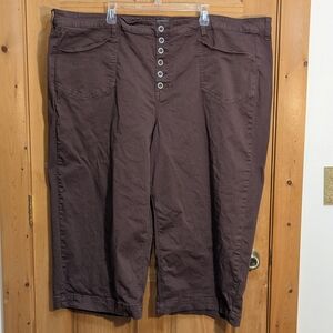 Torrid Burgundy Pants Sz 30 Crop Wide Leg Stretch Twill High Rise Patch Pocket